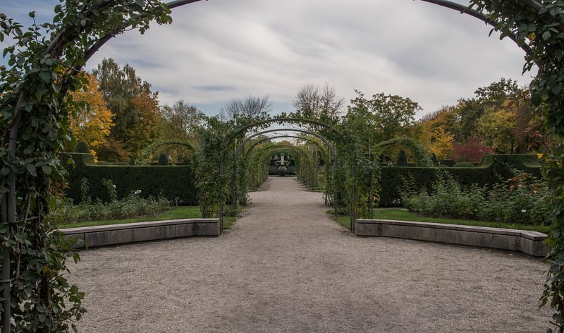 Trellises