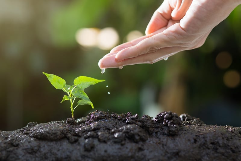 Soil Mixtures