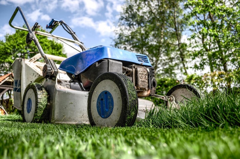 Garden Pest Control