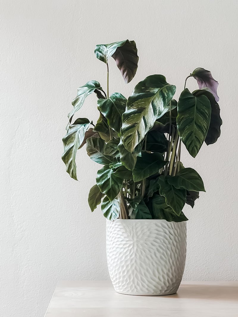 Repurposed Containers